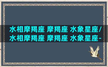 水相摩羯座 摩羯座 水象星座/水相摩羯座 摩羯座 水象星座-我的网站